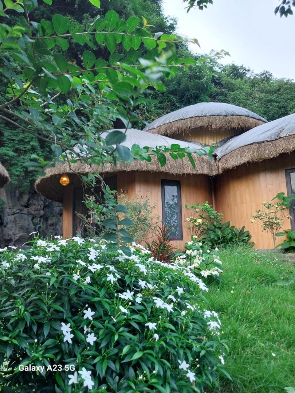 נין בין Trang An Royal Bungalow מראה חיצוני תמונה